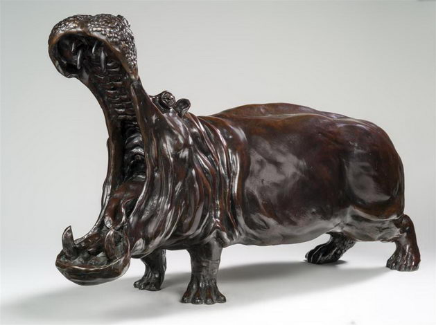 Hippopotame Gueule Ouverte