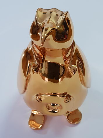 Le petit pengouin dore  (click for description)
